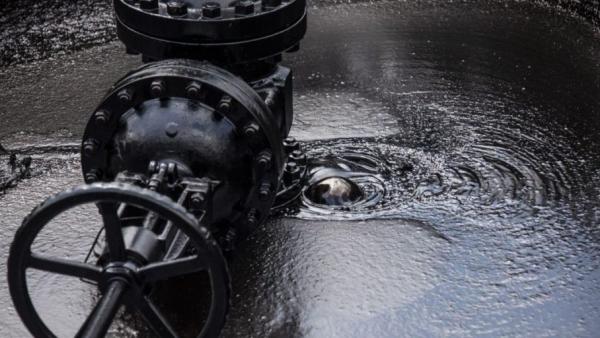 A kép illusztráció. (Forrás: xforest.hu)