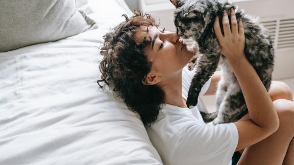 Fotó:pexels.com_cicabarátság