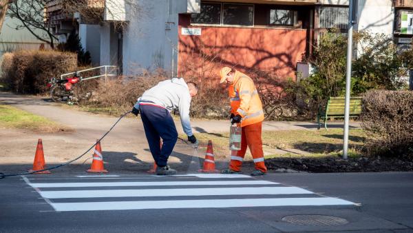 Zebrát festettek fel Békésen, a Rákóczi utcán. Fotó: békési polgármesteri kabinet