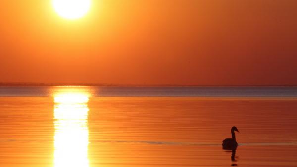 Fotó: idokep.hu/Kelemenné Gladys Viktória