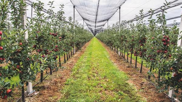 A kép forrása: KITE.Zrt.