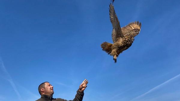 (Fotó: Czifrák Gábor)