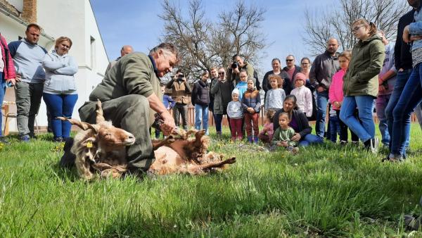 Fotó: KMNP/Palcsek Szilárd István