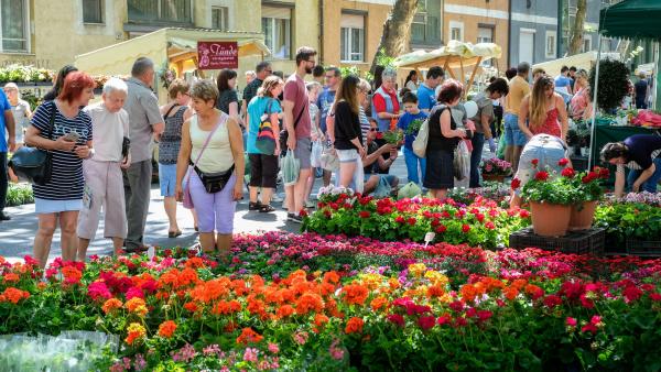 Fotó: Gyulai Hírlap – Rusznyák Csaba 