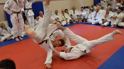 25 éves a BM Kano Judo SE – Fotó: behir.hu/Such Tamás