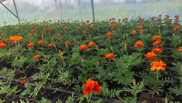 Fotó: Szarvas Péter facebook oldala