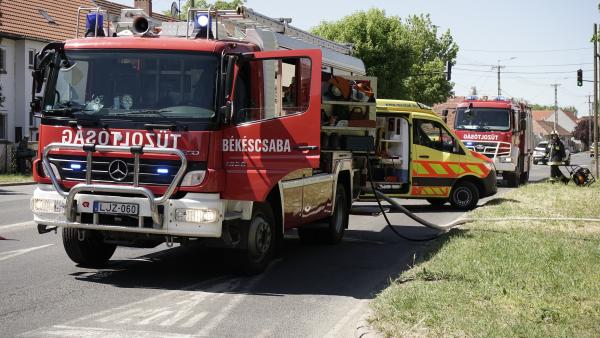 Fotó: behir.hu/Petró Zsolt