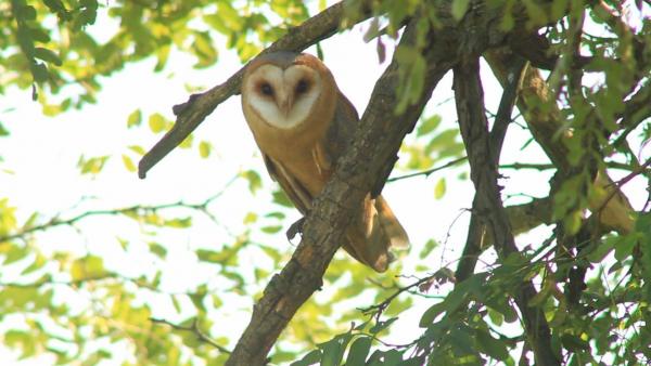 Fotó: KMNP/Szél Antal István