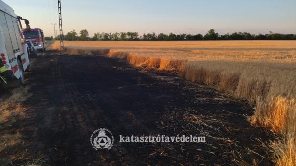 Fotó: Katasztrófavédelem