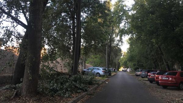 (Fotó: Fülöp Csaba fb-oldala)