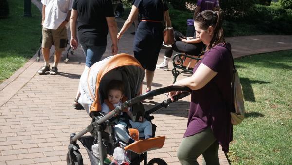 Fotó: Papp Ádám / behir.hu