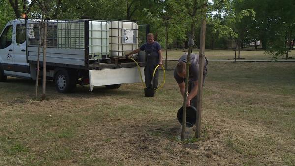 A város több pontján folyamatosan öntözik a zöldfelületeket a városgazdálkodási cég munkatársai. Fotó: behir.hu