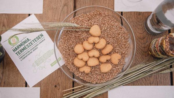 Harmony-búza és keksz. (A kép forrása: www.sorok.hu)