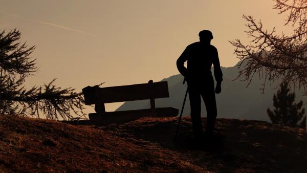 Illusztráció: pixabay.com