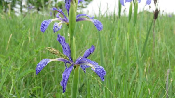 Fotók: kmnp.hu/ Biró István