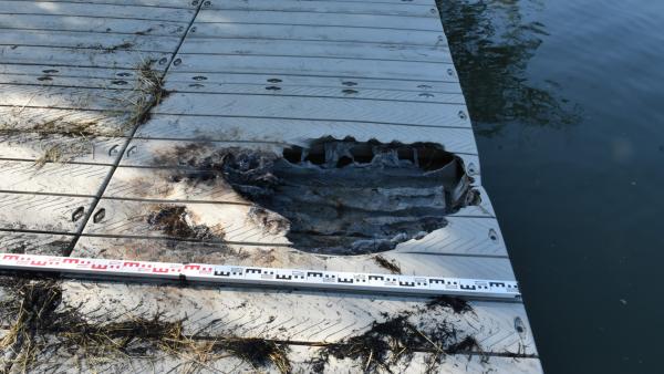 Fiatalok gyújtottak tüzet a békési stégen. Fotó: police.hu