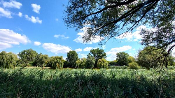 Ópusztaszer - Fotó: behir.hu/E.K.Zs.