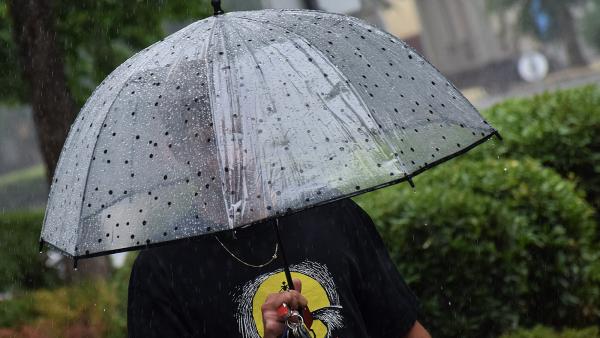 Fotó: Such Tamás/behir.hu