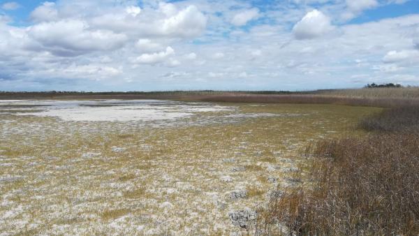 Fotó: KMNP/Sallainé Kapocsi Judit