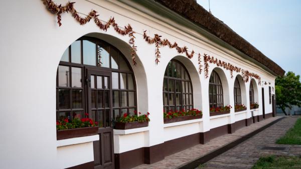 fotó: Vári Bianka (behir.hu)