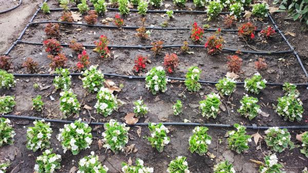 Fotó: Szarvas Péter facebook oldala