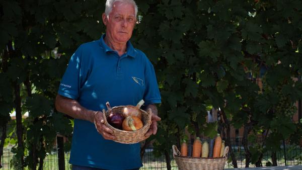 fotó: Vári Bianka (behir.hu)