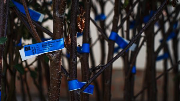 fotó: Vári Bianka (behir.hu)