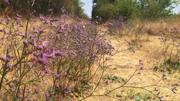 Fotó: KMNP/Mihály Hanna