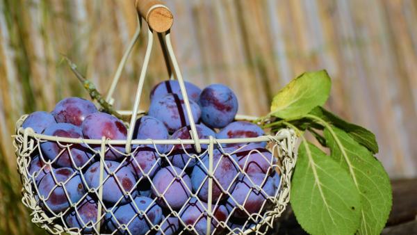 A kép illuszttráció. Forrás: pixabay.com