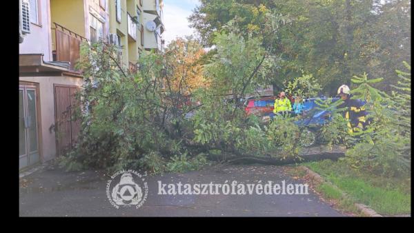 Fotó: Katasztrófavédelem