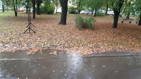 A kép illusztráció