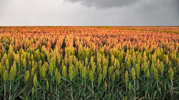 Illusztráció: Getty Images