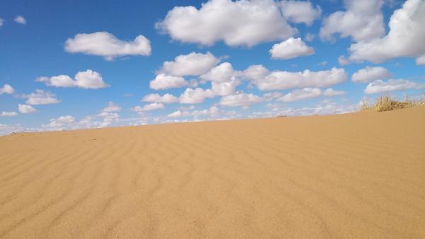 A kép illuszttráció. Forrás: pixabay.com