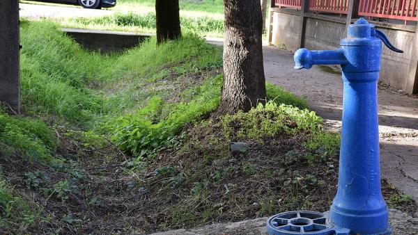 Képünk illusztráció! Fotó: behir.hu/Such Tamás