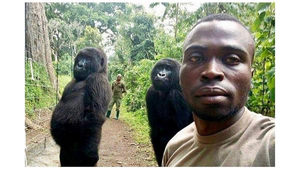 Mathieu Shamavu, a kongói Virunga Nemzeti Park parkőre szelfizik a barátaival Forrás: Mathieu Shamavu