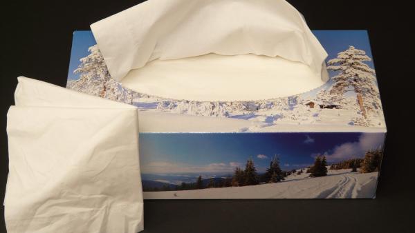 Illusztráció: pixabay.com