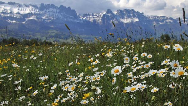 Illusztráció: pixabay.com