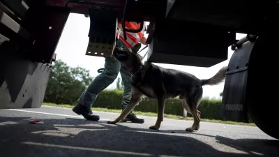 2023-ban is kiképezhető kutyákat keres a Nemzeti Adó- és Vámhivatal. Archív fotó: MTI/Marjai János
