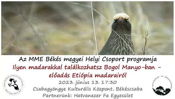 Ilyen madarakkal találkozhatsz Bogol Manyo-ban - előadás Etiópia madarairól