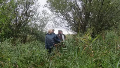 Szarvasbőgést hallgatva túráztak a Kis-sárréten Fotó: kmnp.hu / Biro István