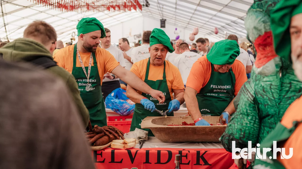 Fotó: Bere Mátyás/behir.hu