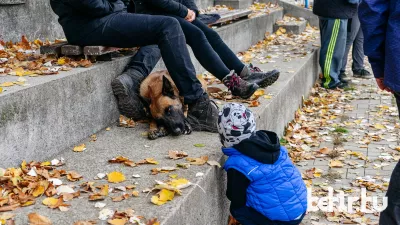 Fotó: Kintner Nikolett/behir.hu