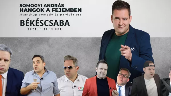 Somogyi András - Hangok a fejemben